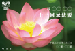 MMR-03