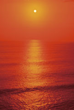 SEA-02