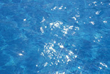SEA-09