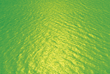 SEA-15