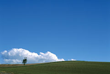 SKY-06