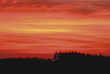 SKY-16